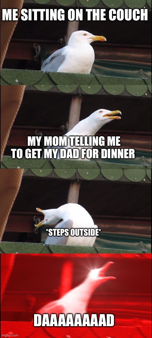 Inhaling Seagull | ME SITTING ON THE COUCH; MY MOM TELLING ME TO GET MY DAD FOR DINNER; *STEPS OUTSIDE*; DAAAAAAAAD | image tagged in memes,inhaling seagull | made w/ Imgflip meme maker