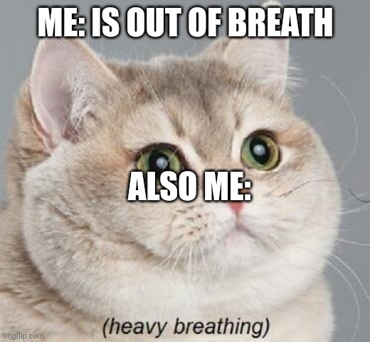 Heavy Breathing Cat | ME: IS OUT OF BREATH; ALSO ME: | image tagged in memes,heavy breathing cat | made w/ Imgflip meme maker