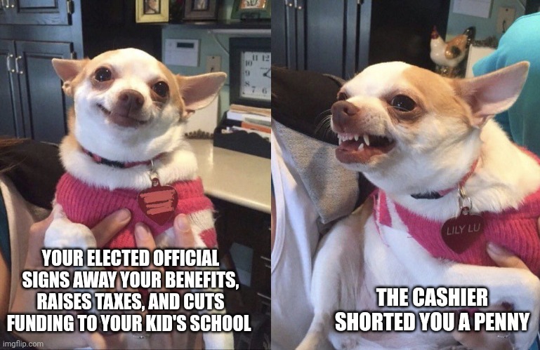 THE CASHIER SHORTED YOU A PENNY; YOUR ELECTED OFFICIAL SIGNS AWAY YOUR BENEFITS, RAISES TAXES, AND CUTS FUNDING TO YOUR KID'S SCHOOL | image tagged in angry dog,happy dog | made w/ Imgflip meme maker