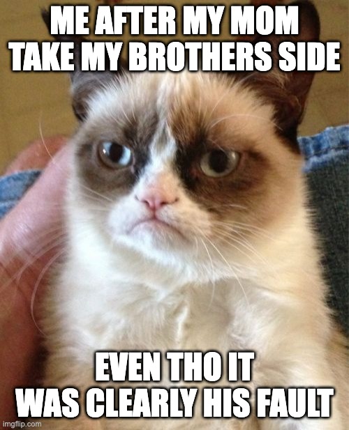 happens all the time | ME AFTER MY MOM TAKE MY BROTHERS SIDE; EVEN THO IT WAS CLEARLY HIS FAULT | image tagged in memes,grumpy cat | made w/ Imgflip meme maker