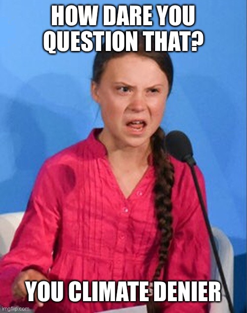 Greta Thunberg how dare you | HOW DARE YOU QUESTION THAT? YOU CLIMATE DENIER | image tagged in greta thunberg how dare you | made w/ Imgflip meme maker