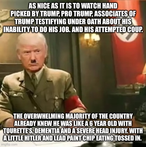 Donald Trump Hitler | AS NICE AS IT IS TO WATCH HAND PICKED BY TRUMP, PRO TRUMP, ASSOCIATES OF TRUMP TESTIFYING UNDER OATH ABOUT HIS INABILITY TO DO HIS JOB. AND HIS ATTEMPTED COUP. THE OVERWHELMING MAJORITY OF THE COUNTRY ALREADY KNEW HE WAS LIKE A 6 YEAR OLD WITH TOURETTE’S, DEMENTIA AND A SEVERE HEAD INJURY. WITH A LITTLE HITLER AND LEAD PAINT CHIP EATING TOSSED IN. | image tagged in donald trump hitler | made w/ Imgflip meme maker