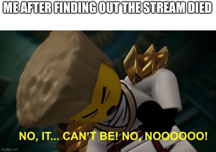 That’s in-zane(I know, bad zane puns are dead) | ME AFTER FINDING OUT THE STREAM DIED | image tagged in no it can't be | made w/ Imgflip meme maker