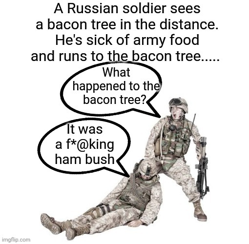 Ambushed! | It was a f*@king ham bush | image tagged in hamburger,bacon,bush,russian,funny memes,dad joke | made w/ Imgflip meme maker