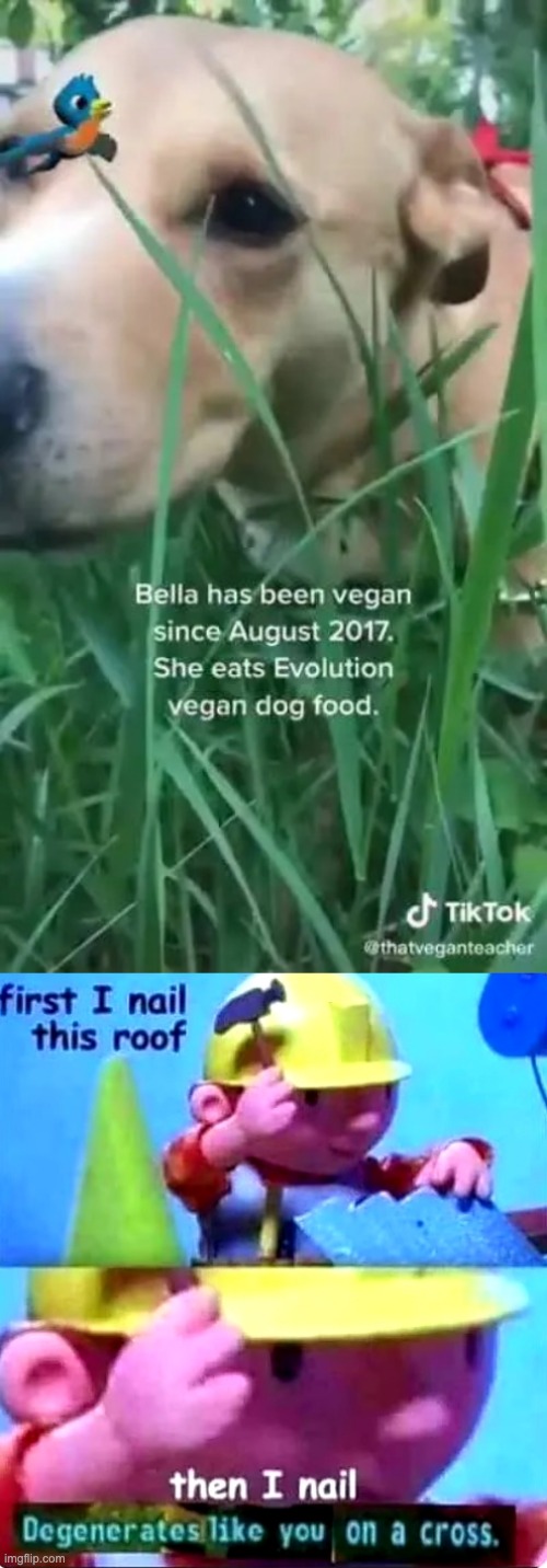 image tagged in vegan dog,first i nail this roof | made w/ Imgflip meme maker