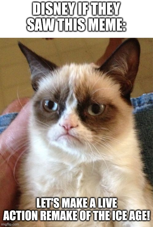 Grumpy Cat Meme | DISNEY IF THEY SAW THIS MEME: LET'S MAKE A LIVE ACTION REMAKE OF THE ICE AGE! | image tagged in memes,grumpy cat | made w/ Imgflip meme maker