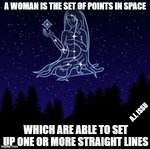 A woman | A WOMAN IS THE SET OF POINTS IN SPACE; A.I. ISSU; WHICH ARE ABLE TO SET UP ONE OR MORE STRAIGHT LINES | image tagged in woman | made w/ Imgflip meme maker