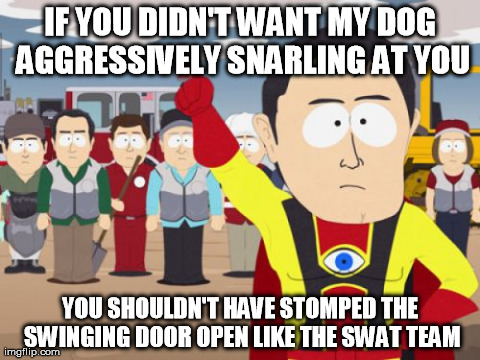 Captain Hindsight | IF YOU DIDN'T WANT MY DOG AGGRESSIVELY SNARLING AT YOU YOU SHOULDN'T HAVE STOMPED THE SWINGING DOOR OPEN LIKE THE SWAT TEAM | image tagged in memes,captain hindsight,AdviceAnimals | made w/ Imgflip meme maker