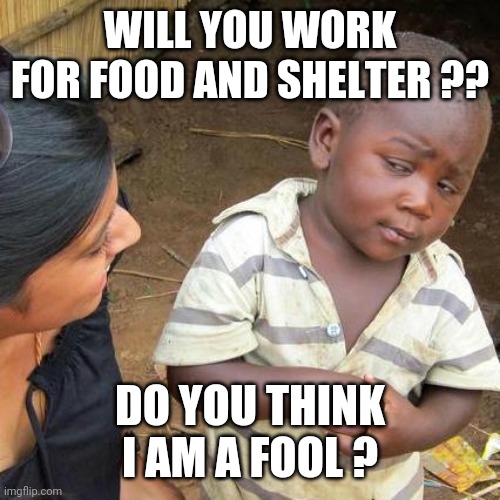 Third World Skeptical Kid | WILL YOU WORK FOR FOOD AND SHELTER ?? DO YOU THINK I AM A FOOL ? | image tagged in memes,third world skeptical kid | made w/ Imgflip meme maker