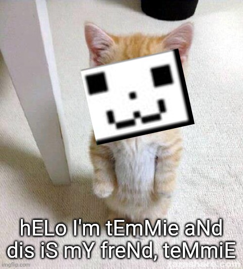 tem | hELo I'm tEmMie aNd dis iS mY freNd, teMmiE | image tagged in memes,cute cat,temmie,undertale | made w/ Imgflip meme maker
