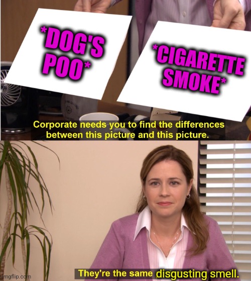 -Away from nostrils. | *DOG'S POO*; *CIGARETTE SMOKE*; disgusting smell. | image tagged in memes,they're the same picture,dog poop,cigarettes,big smoke,disgusted face | made w/ Imgflip meme maker