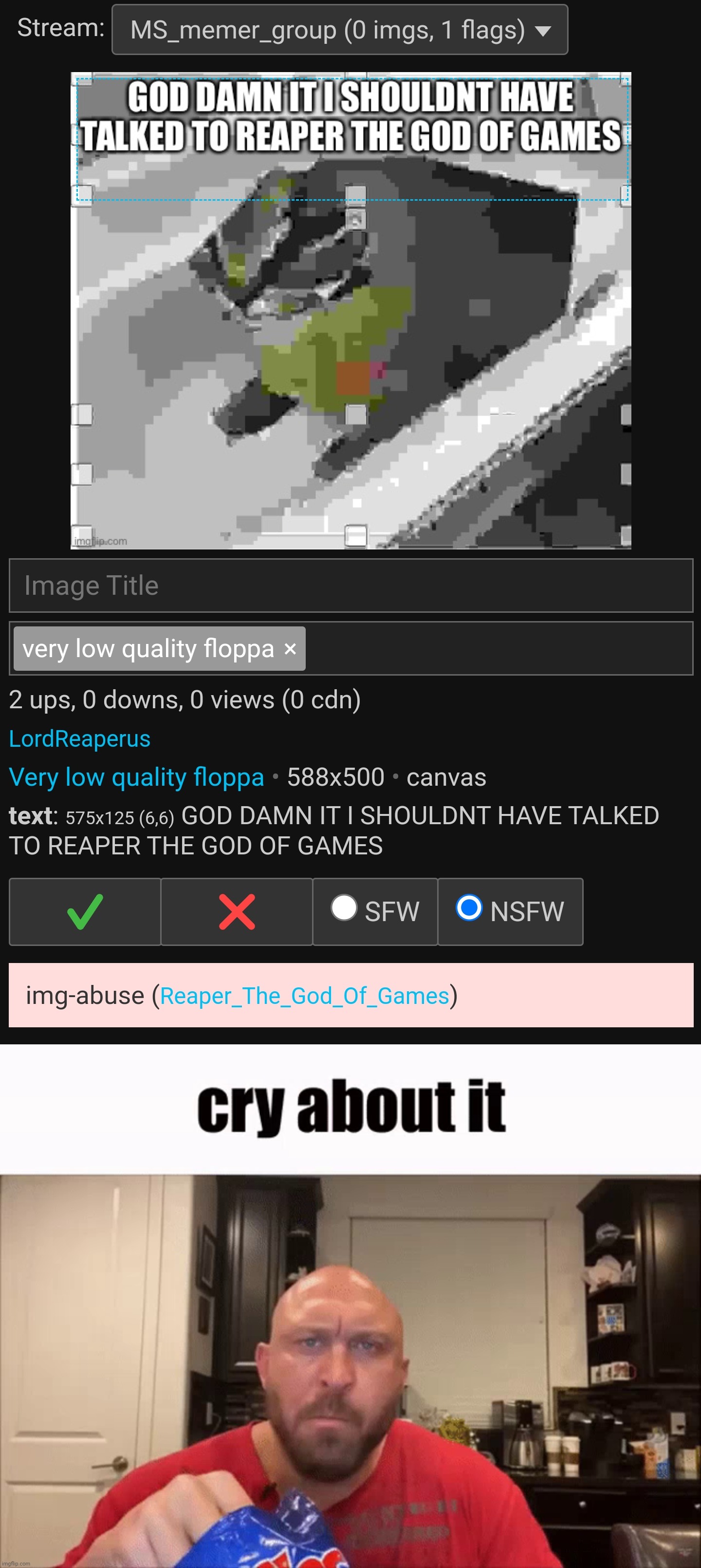 Fricking cry about it. | image tagged in cry about it,memes,flag | made w/ Imgflip meme maker