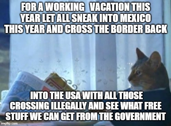 I Should Buy A Boat Cat | FOR A WORKING   VACATION THIS YEAR LET ALL SNEAK INTO MEXICO THIS YEAR AND CROSS THE BORDER BACK; INTO THE USA WITH ALL THOSE CROSSING ILLEGALLY AND SEE WHAT FREE STUFF WE CAN GET FROM THE GOVERNMENT | image tagged in memes,i should buy a boat cat | made w/ Imgflip meme maker