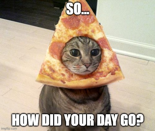 Every Day Is A Struggle | SO... HOW DID YOUR DAY GO? | image tagged in pizza cat,cats,humor,work,awkward,food | made w/ Imgflip meme maker