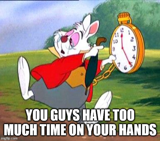 White Rabbit "I'm late!" | YOU GUYS HAVE TOO MUCH TIME ON YOUR HANDS | image tagged in white rabbit i'm late | made w/ Imgflip meme maker