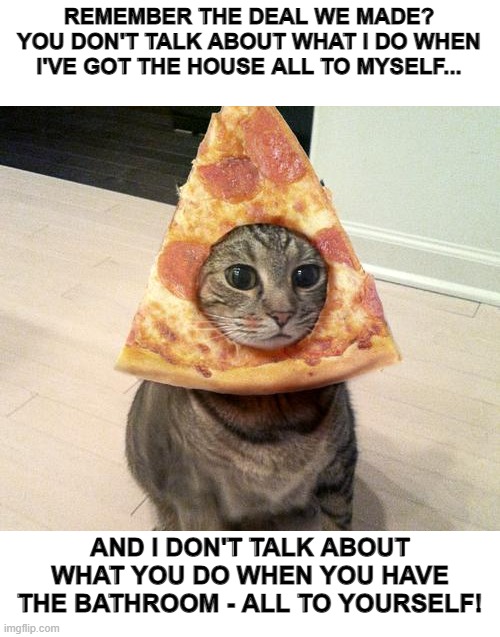 Alone Time | REMEMBER THE DEAL WE MADE?
YOU DON'T TALK ABOUT WHAT I DO WHEN I'VE GOT THE HOUSE ALL TO MYSELF... AND I DON'T TALK ABOUT WHAT YOU DO WHEN YOU HAVE THE BATHROOM - ALL TO YOURSELF! | image tagged in pizza cat,cats,humor,dark humor,privacy,awkward | made w/ Imgflip meme maker