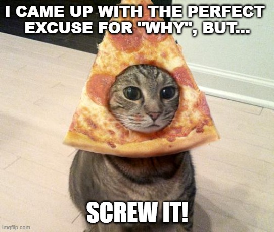 Never Mind "Why" | I CAME UP WITH THE PERFECT 
EXCUSE FOR "WHY", BUT... SCREW IT! | image tagged in pizza cat,cats,humor,funny cats,memes | made w/ Imgflip meme maker