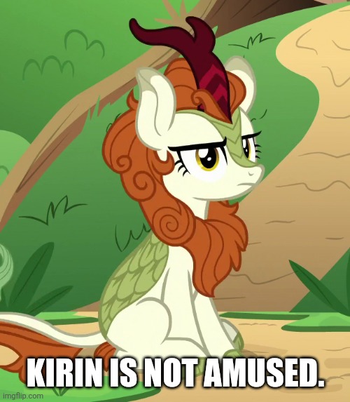 Unamused Kirin | KIRIN IS NOT AMUSED. | image tagged in my little pony friendship is magic,kirin,unamused,memes,reaction | made w/ Imgflip meme maker