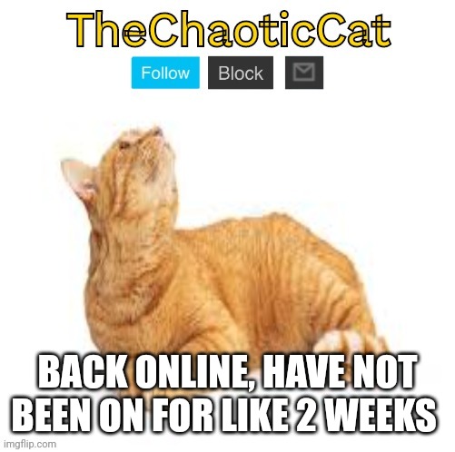 TheChaoticCat temp | BACK ONLINE, HAVE NOT BEEN ON FOR LIKE 2 WEEKS | image tagged in thechaoticcat temp | made w/ Imgflip meme maker