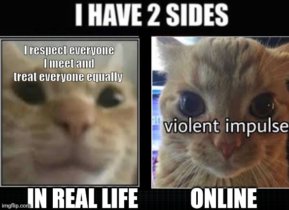 -Insert cat vibing to polka- | I respect everyone I meet and treat everyone equally; IN REAL LIFE            ONLINE | made w/ Imgflip meme maker