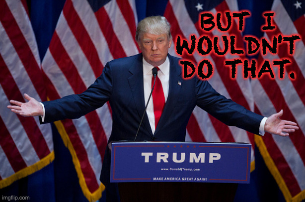 Donald Trump | BUT I WOULDN'T DO THAT. | image tagged in donald trump | made w/ Imgflip meme maker