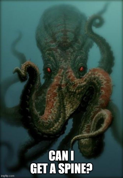 Octopus | CAN I GET A SPINE? | image tagged in octopus | made w/ Imgflip meme maker