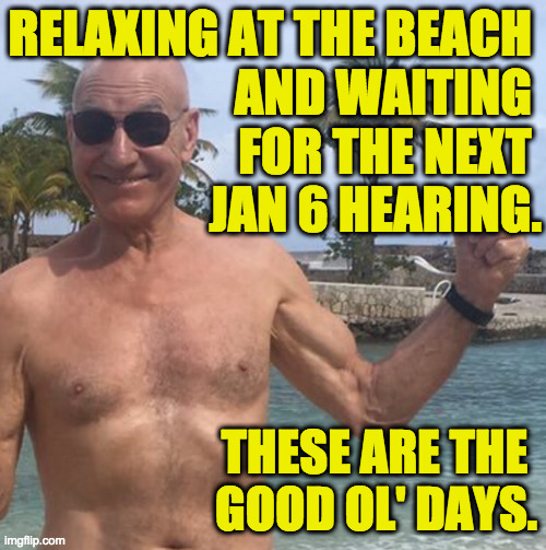 I look good for my age. | RELAXING AT THE BEACH 
AND WAITING 
FOR THE NEXT 
JAN 6 HEARING. THESE ARE THE 
GOOD OL' DAYS. | image tagged in memes,jan 6 hearings,picard at the beach | made w/ Imgflip meme maker