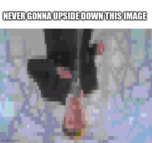 Never gonna | NEVER GONNA UPSIDE DOWN THIS IMAGE | image tagged in rickroll | made w/ Imgflip meme maker