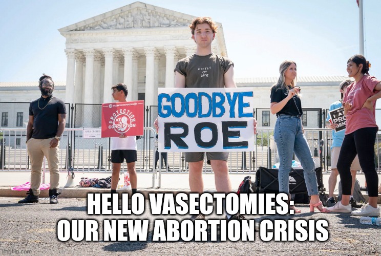 'Vasectomies surge post Roe V Wade overturned!" | HELLO VASECTOMIES:  OUR NEW ABORTION CRISIS | image tagged in delusional white male,lazy,men,convenience,greed | made w/ Imgflip meme maker