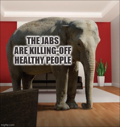 Elephant In The Room | THE JABS ARE KILLING-OFF HEALTHY PEOPLE | image tagged in elephant in the room | made w/ Imgflip meme maker