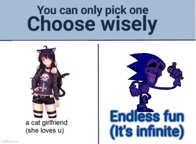 Fun is Infinite |  Endless fun
(It's infinite) | image tagged in choose wisely,sonic the hedgehog | made w/ Imgflip meme maker