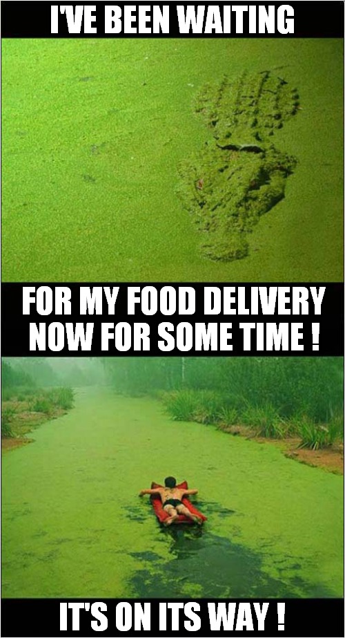 A Cross Crocs Call ! | I'VE BEEN WAITING; FOR MY FOOD DELIVERY NOW FOR SOME TIME ! IT'S ON ITS WAY ! | image tagged in crocodile,fast food,delivery,dark humour | made w/ Imgflip meme maker