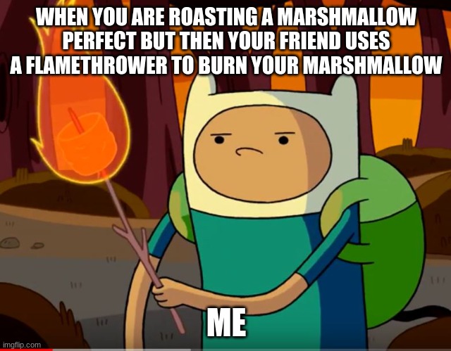 FinnAndHisMarshmellow | WHEN YOU ARE ROASTING A MARSHMALLOW PERFECT BUT THEN YOUR FRIEND USES A FLAMETHROWER TO BURN YOUR MARSHMALLOW; ME | image tagged in finnandhismarshmellow | made w/ Imgflip meme maker