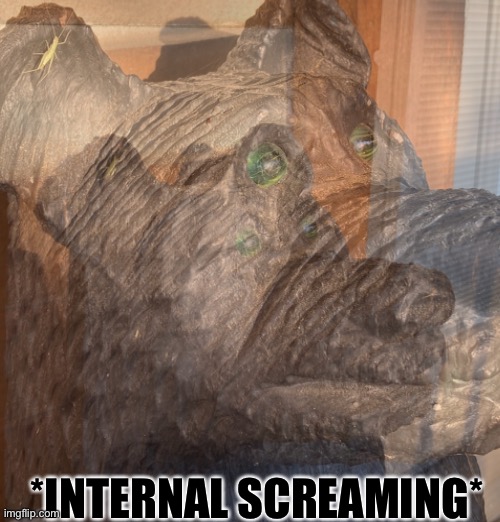 Internal screaming bear Blank Meme Template