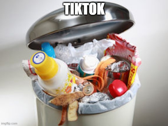Rubbish bin | TIKTOK | image tagged in rubbish bin | made w/ Imgflip meme maker