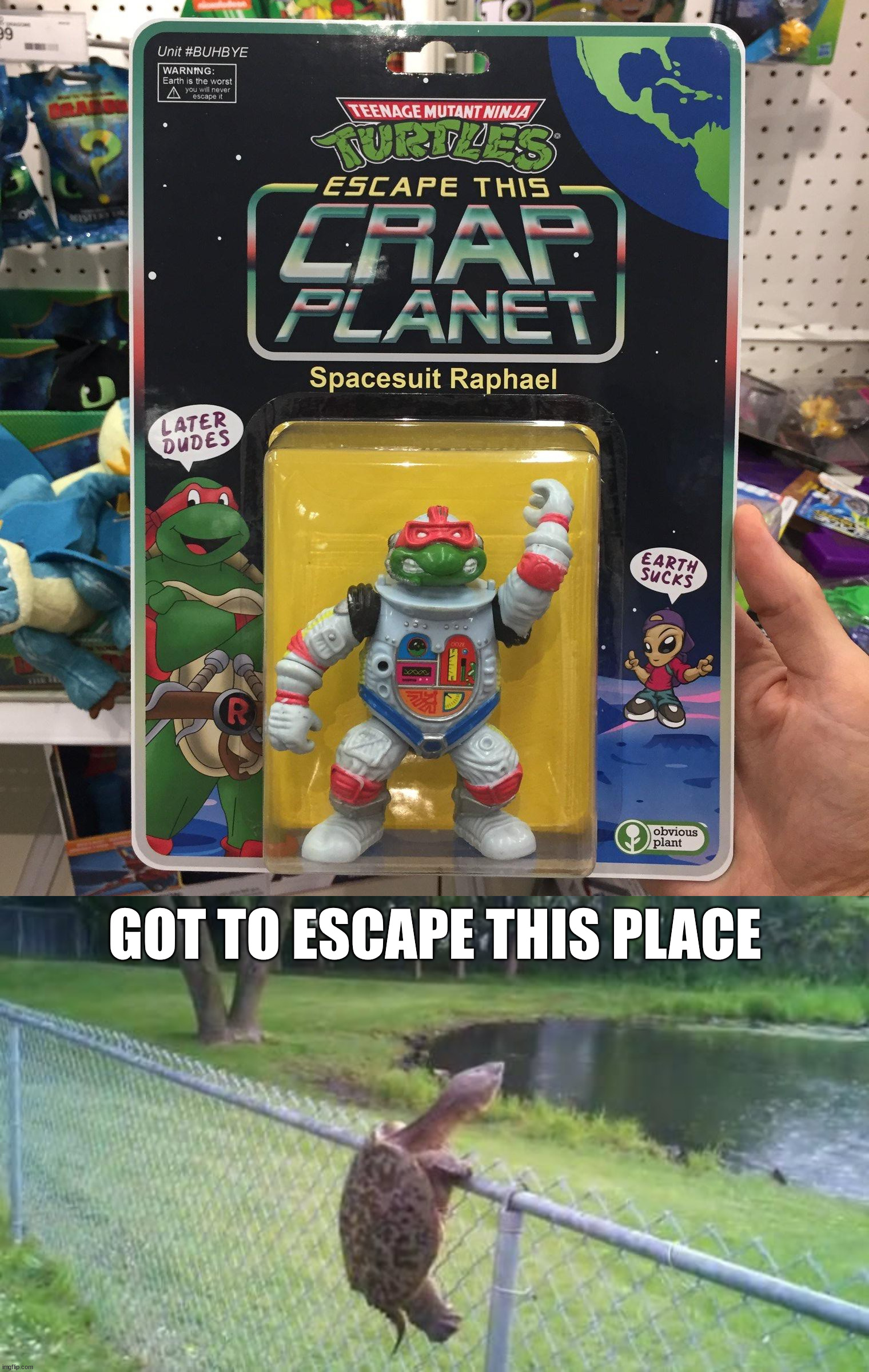 GOT TO ESCAPE THIS PLACE | image tagged in turtle fence escape,fake | made w/ Imgflip meme maker