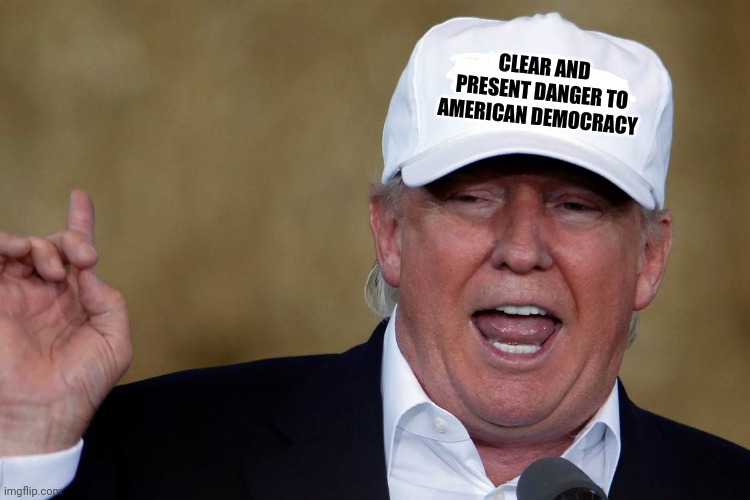 Donald Trump Blank MAGA Hat | CLEAR AND PRESENT DANGER TO AMERICAN DEMOCRACY | image tagged in donald trump blank maga hat | made w/ Imgflip meme maker