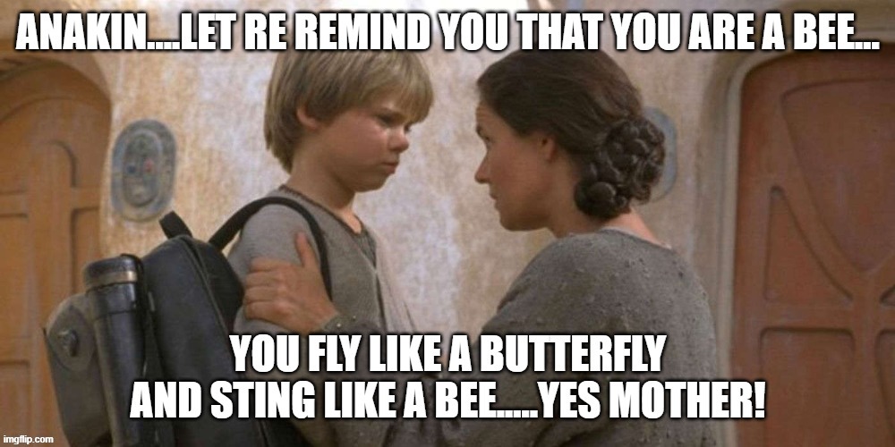 Poor Little Anakin.....Who Knew? Must be all those Concussions! | image tagged in fly like a butterfly,sting like a bee,boom goes the dynomite,curds and whey,thanks for the pancakes | made w/ Imgflip meme maker