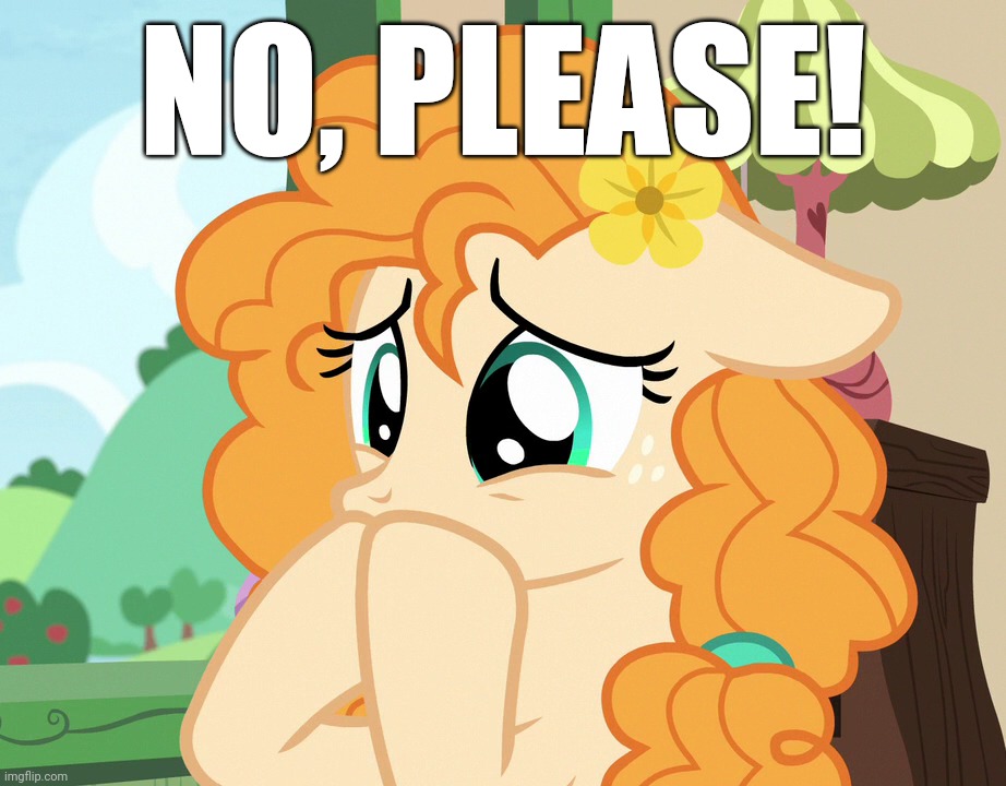 NO, PLEASE! | made w/ Imgflip meme maker