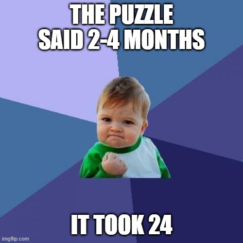 Dumb kid | THE PUZZLE SAID 2-4 MONTHS; IT TOOK 24 | image tagged in memes,success kid | made w/ Imgflip meme maker