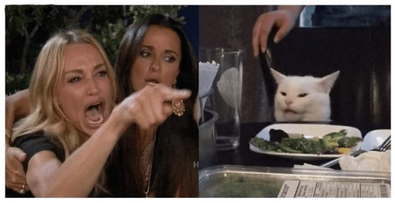 woman yeling at cat Blank Meme Template