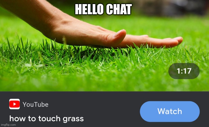E | HELLO CHAT | image tagged in how to touch grass | made w/ Imgflip meme maker