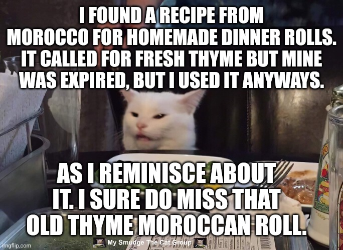 I FOUND A RECIPE FROM MOROCCO FOR HOMEMADE DINNER ROLLS. IT CALLED FOR FRESH THYME BUT MINE WAS EXPIRED, BUT I USED IT ANYWAYS. AS I REMINISCE ABOUT IT. I SURE DO MISS THAT OLD THYME MOROCCAN ROLL. | image tagged in smudge the cat | made w/ Imgflip meme maker