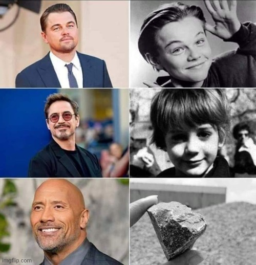 He's just a rock | image tagged in leonardo dicaprio,ironman,dwayne johnson | made w/ Imgflip meme maker