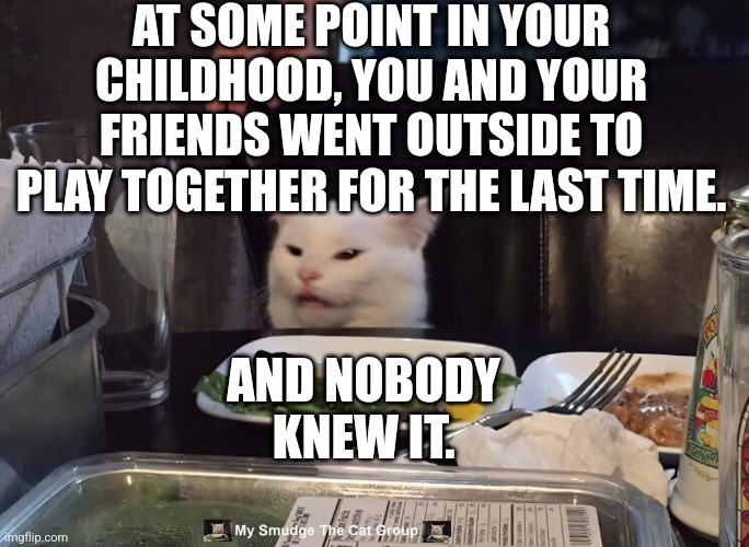AT SOME POINT IN YOUR CHILDHOOD, YOU AND YOUR FRIENDS WENT OUTSIDE TO PLAY TOGETHER FOR THE LAST TIME. AND NOBODY KNEW IT. | image tagged in smudge the cat | made w/ Imgflip meme maker