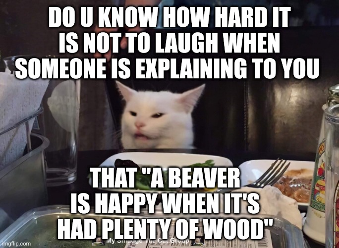 DO U KNOW HOW HARD IT IS NOT TO LAUGH WHEN SOMEONE IS EXPLAINING TO YOU; THAT "A BEAVER IS HAPPY WHEN IT'S HAD PLENTY OF WOOD" | image tagged in smudge the cat | made w/ Imgflip meme maker