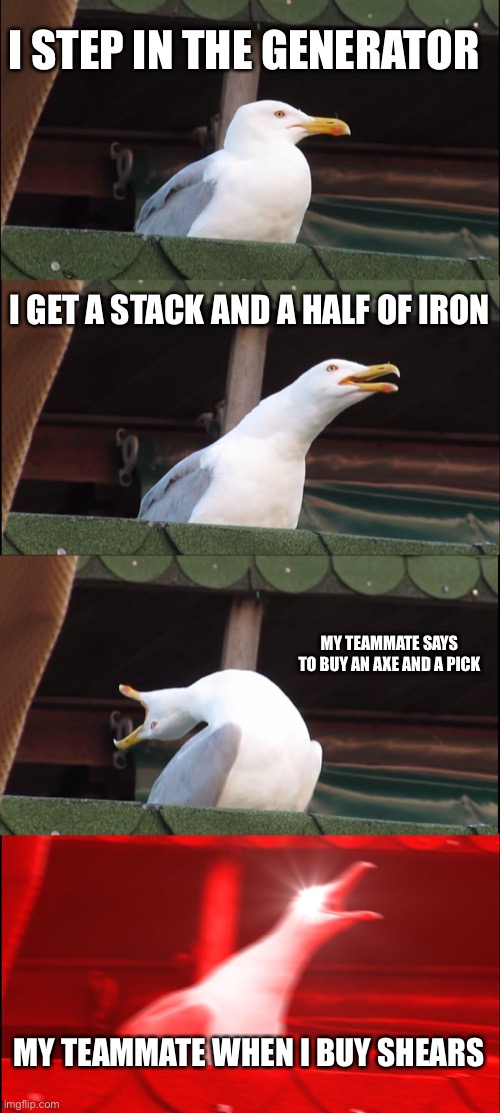 EVERY TIME BROOOO | I STEP IN THE GENERATOR; I GET A STACK AND A HALF OF IRON; MY TEAMMATE SAYS TO BUY AN AXE AND A PICK; MY TEAMMATE WHEN I BUY SHEARS | image tagged in memes,inhaling seagull | made w/ Imgflip meme maker