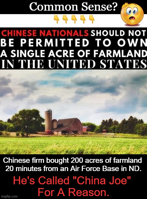 Sleeping with the Enemy |  Common Sense? Chinese firm bought 200 acres of farmland 
20 minutes from an Air Force Base in ND. He's Called "China Joe" 
For A Reason. | image tagged in political meme,joe biden,made in china,enemy,farmland,common sense | made w/ Imgflip meme maker