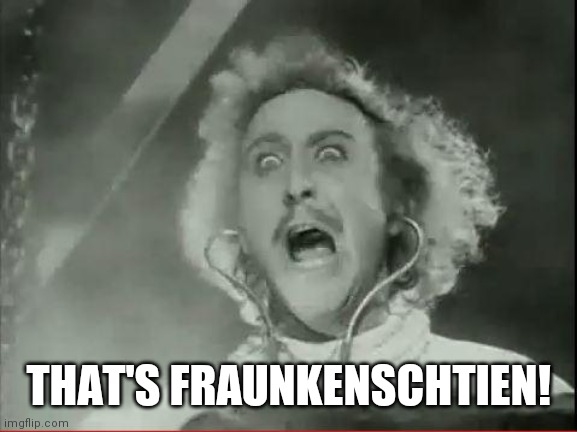 Young Frankenstein | THAT'S FRAUNKENSCHTIEN! | image tagged in young frankenstein | made w/ Imgflip meme maker