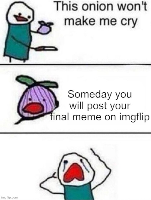 NOOOOOOOO |  Someday you will post your final meme on imgflip | image tagged in this onion wont make me cry,sad | made w/ Imgflip meme maker